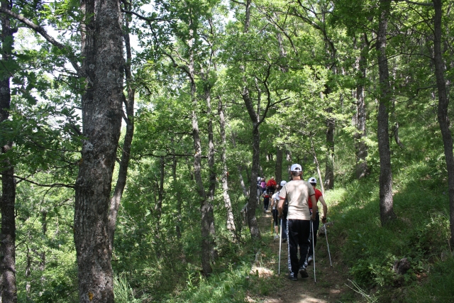  NORDIC CAMINHOS 